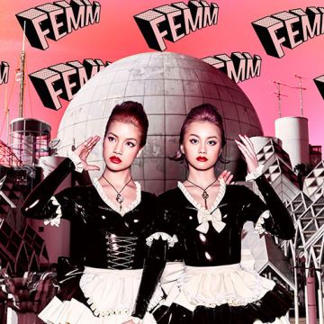 FEMM