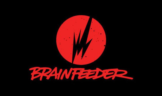 BRAINFEEDER 2