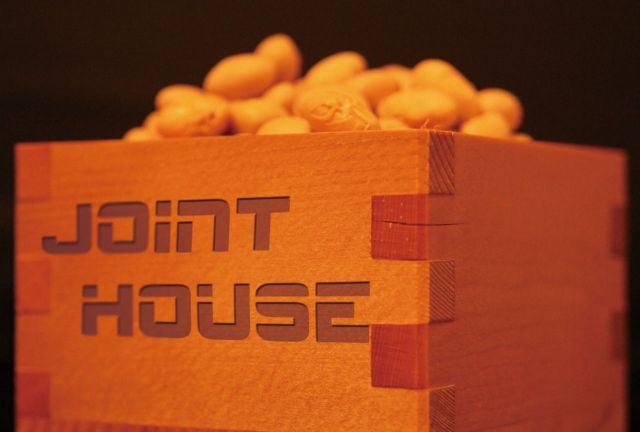 JOINT HOUSE