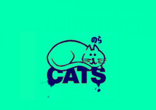 野良猫