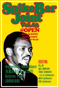 SpikeBarJoint