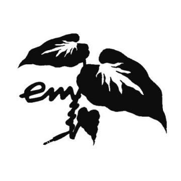 em