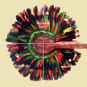 Telomere