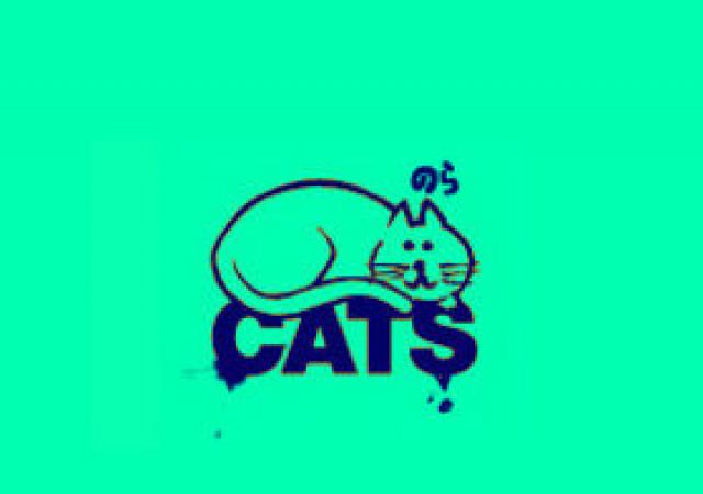 野良猫 