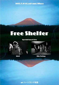 Free Shelter