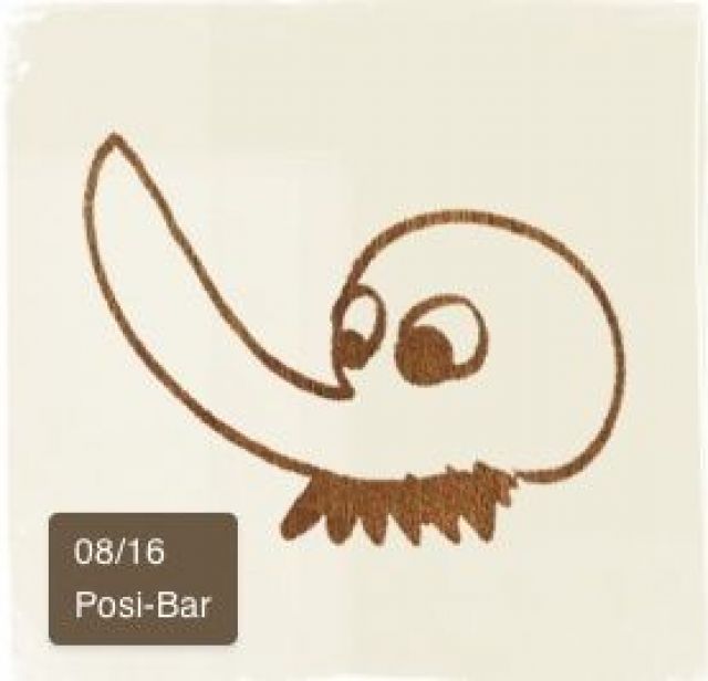 Posi-Bar