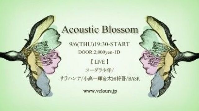 Acoustic Blossom