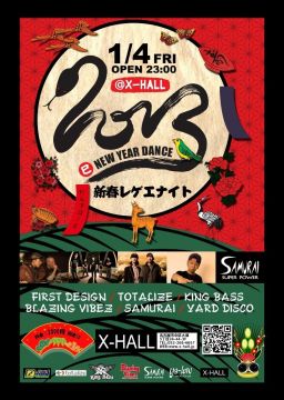 NEW YEAR DANCE 2013