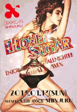 Honey Sugar -2013 NEW YEAR PARTY-