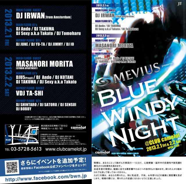 BLUE WINDY NIGHT
