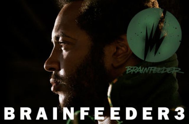 BRAINFEEDER 3