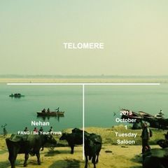 Telomere