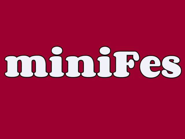 miniFes vol.4