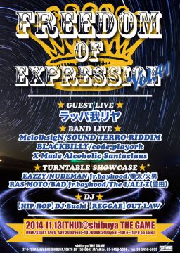 Freedom of Expression 41