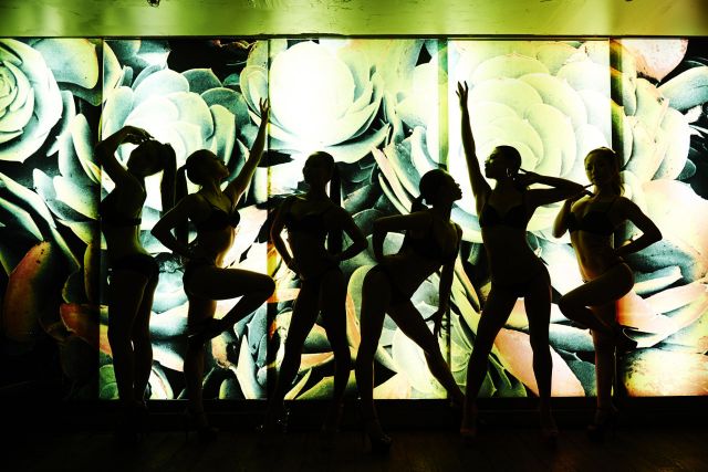 Pole Dance×Dance Music Event『Butterfly』1st Anniversary