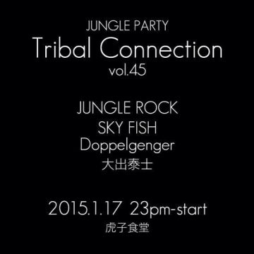 JUNGLE PARTY: Tribal Connection VOL.45