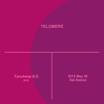 Telomere