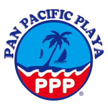 PPP通信