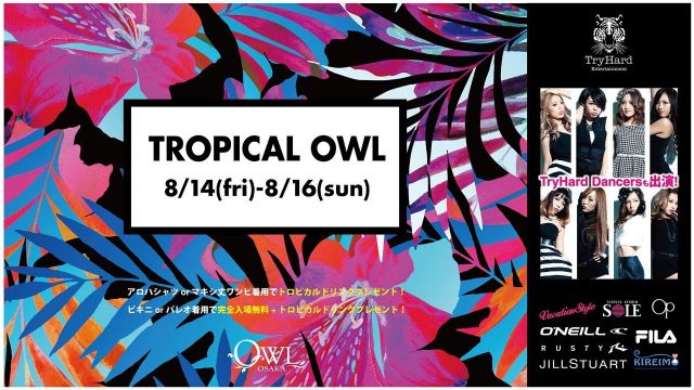 【SATURDAY SONIC】 TROPICAL OWL
