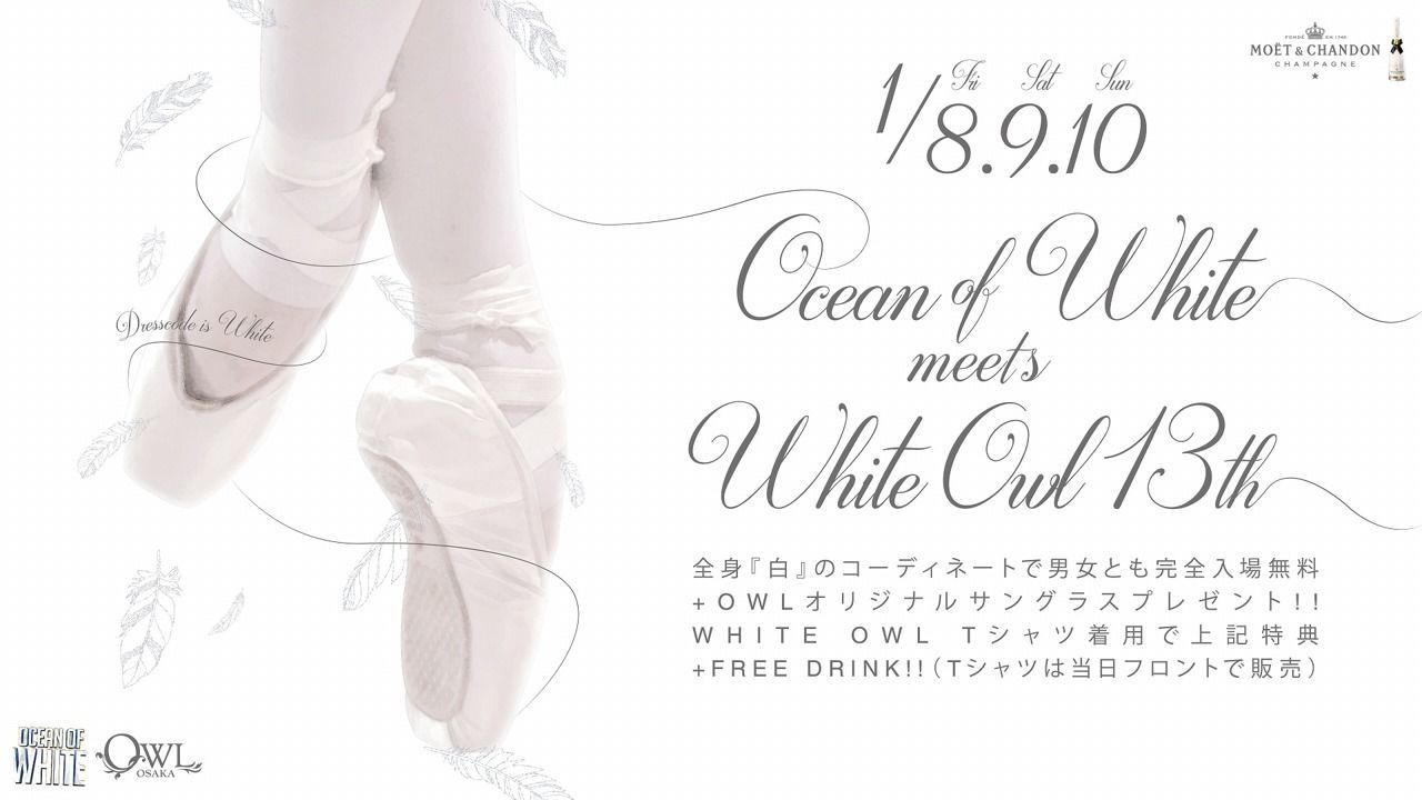  【ICE】 OCEAN OF WHITE meets WHITE OWL 13th