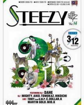 STEEZY Vol.13