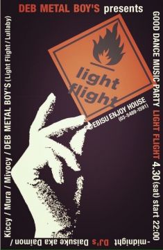 Light Flight
