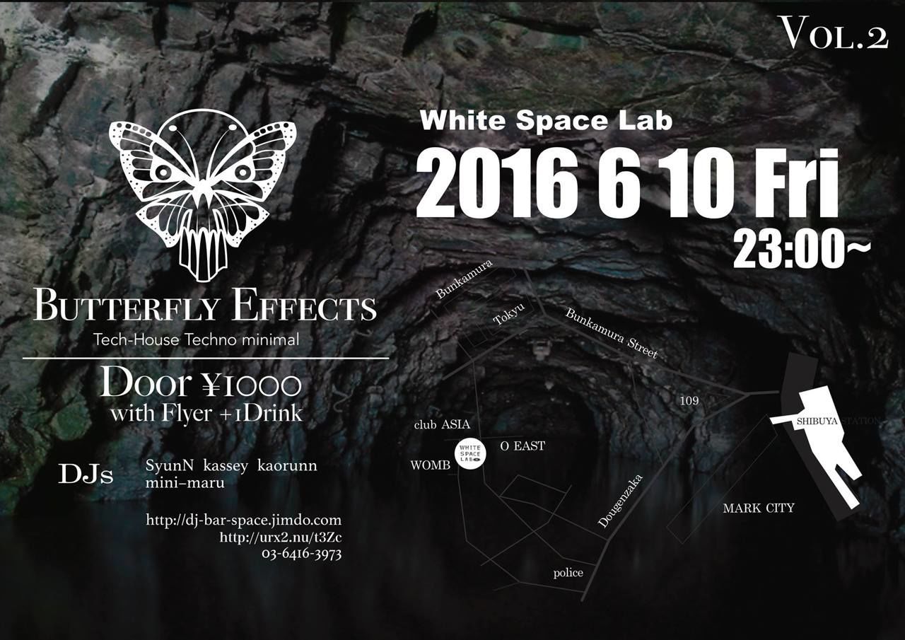 Butterfly Effects Vol.2
