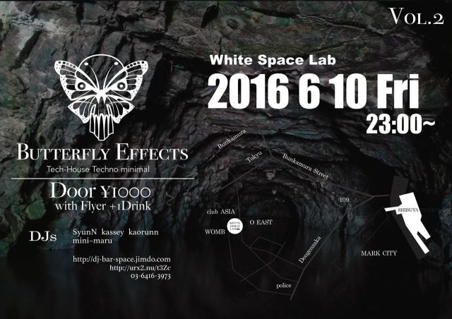 Butterfly Effects Vol.2