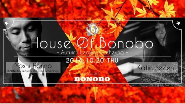 House Of Bonobo