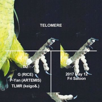 TELOMERE