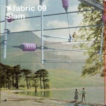 Fabric 09