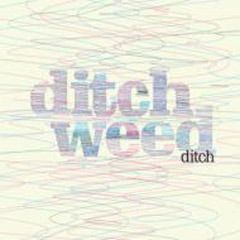 Ditch Weed