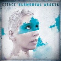 Elemental Assets 