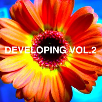 Developing Vol. 2