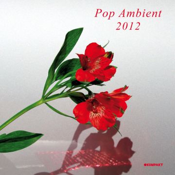 POP AMBIENT 2012