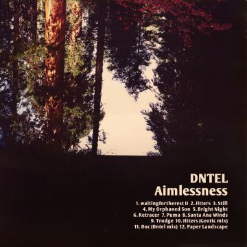 Aimlessness