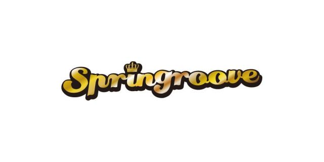 「SPRINGROOVE 2013」が開催決定。第1弾ラインナップにNE-YOとAVICIIを発表