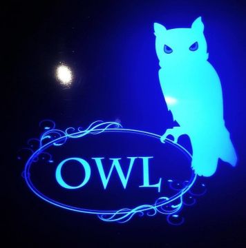 ＭＵＳＩＣ　ＢＡＲ　ＯＷＬ